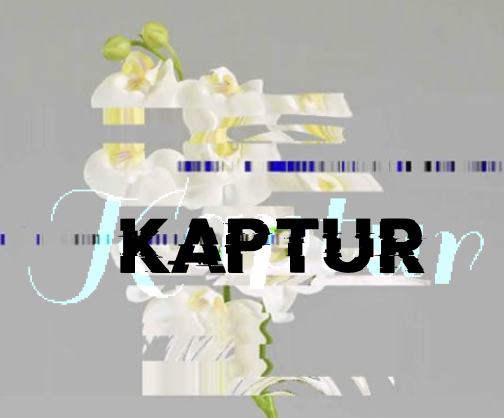Kaptur